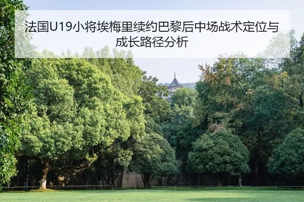fa-guo-xiao-jiang-ai-mei-li-xu-yue-ba-li-hou-zhong-chang-zhan-shu-ding-wei-yu-cheng-zhang-lu-jing-fen-xi-2-744.jpg