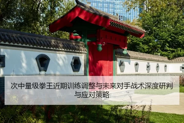次中量级拳王近期训练调整与未来对手战术深度研判与应对策略